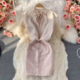 Simple Chiffon Professional Women's Dress