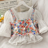 Short-sleeved chiffon