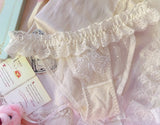 French Slim White Sheer Triangle Bra set