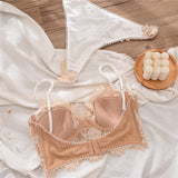 Trendy French Lace Underwire Backless Bra set