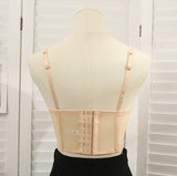 Sweet Embroidered Mesh Corset Style Top