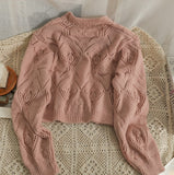 New Embroidered Hollow Thin Knitted Small Cardigan and Camisole set