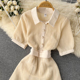 High-end Retro Polo Collar Dress