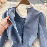 Retro Chic  Sexy Long-sleeve Denim Round-neck Dress