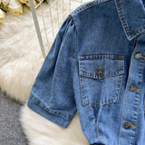 New Fashion Denim Dress - Slim fit Pleated Skirt